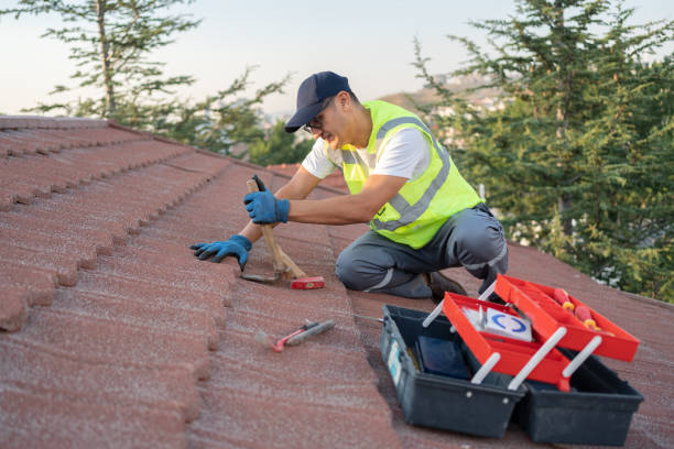 Residential Roof Replacement in Kaumakani, HI