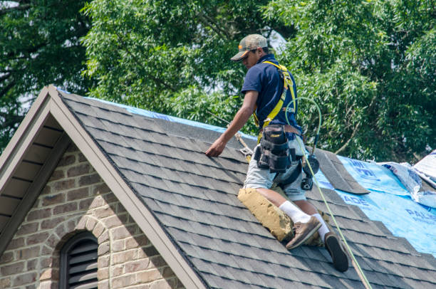 Best Residential Roof Replacement  in Kaumakani, HI